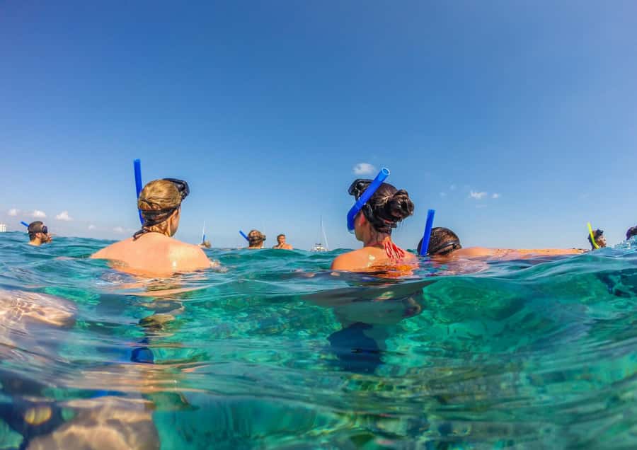 Bali/Nusa Dua: Snorkeling, Glass Boat Ride & Turtle Center - Glass-Bottom Boat Ride: The Dry Way to See Below the Surface