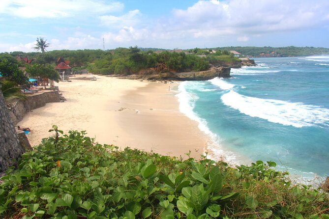 Bali Nusa Lembongan Islands Private Tour - All Inclusive - Stop 1: Mangrove Point and a Boat Through Protected Mangroves