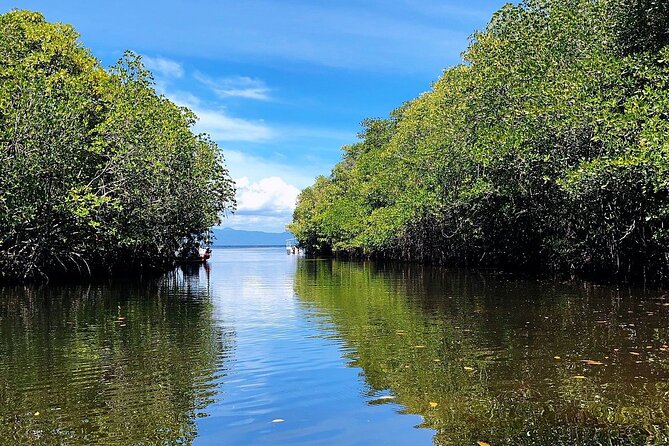 Bali Nusa Lembongan Islands Private Tour - All Inclusive - Your Day at a Glance: Timing, Pacing, and Weather Reality