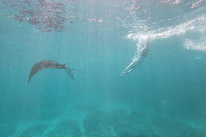 Bali Nusa Penida and Private Snorkeling (Manta Bay, Gamat, Wall) - Land tour stops: cliffs, lagoons, and rockwork you can’t fake