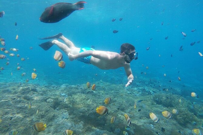 Bali Nusa Penida and Private Snorkeling (Manta Bay, Gamat, Wall) - Lunch and the pace: a full day without feeling rushed