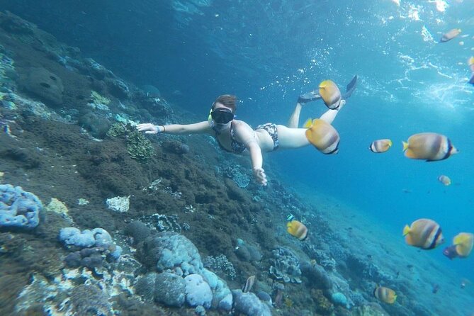 Bali Nusa Penida and Private Snorkeling (Manta Bay, Gamat, Wall) - Who should book, and who should rethink