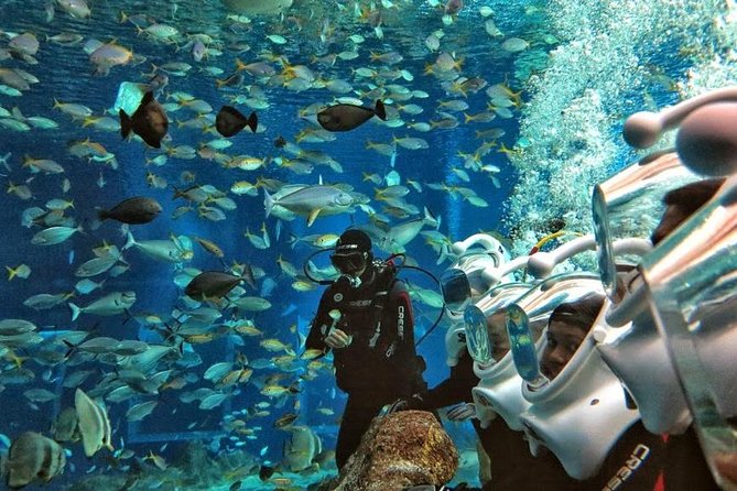 Bali Ocean Walker - Why Ocean Walker feels like sci-fi snorkeling in Bali