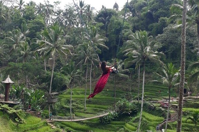 Bali Private 3 Days Tour Package Highlight - Why the guides and drivers can make or break this trip