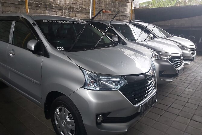 Bali Private Car Charter - The Car and the Driver Experience: Comfortable, Communicative, Professional