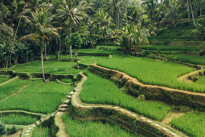 Bali Private Car Full Day Customized Tour With Drone Service - Goa Gajah and Sukawati Art Market: spiritual site to local shopping