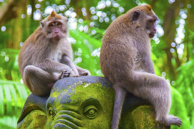 Bali Private Chartered Tour - A Private 10-Hour Charter That Fits Your Pace