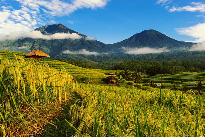 Bali Private Driver - Bali customized private tour - Key things that matter (and why)