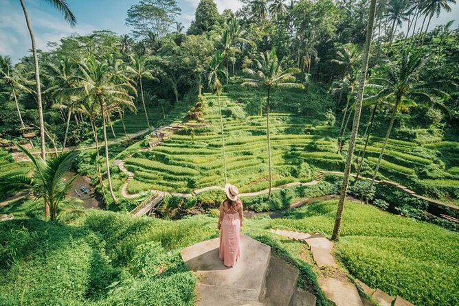 Bali Private Driver - Bali customized private tour - Ubud and Tegalalang: Culture Stops Without the Route Stress