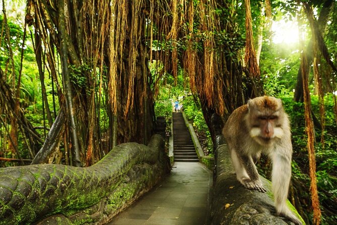 Bali Private inclusive tour: Best of Ubud in a Day - Tegalalang Rice Terrace: A Walk Through the Paddies, Not Just a Look