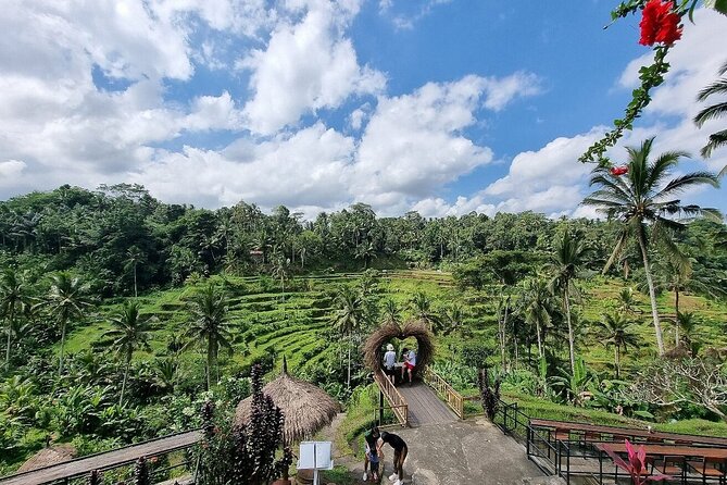 Bali Private inclusive tour: Best of Ubud in a Day - Sacred Monkey Forest Sanctuary: 600 Long-Tailed Monkeys and a Dense Forest Walk
