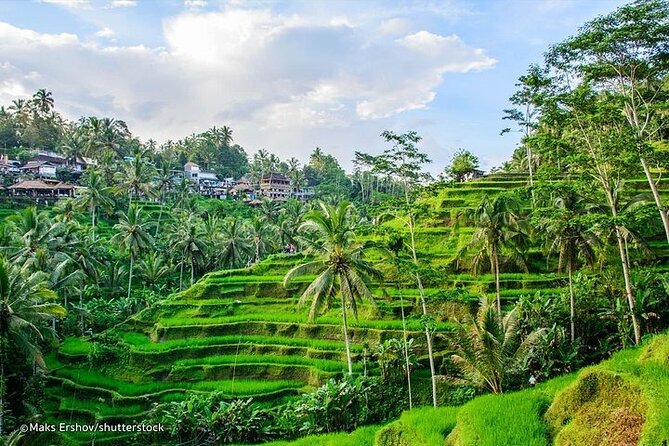 Bali Private inclusive tour: Best of Ubud in a Day - Puseh Batuan Temple: A Peaceful Start in a Village Setting