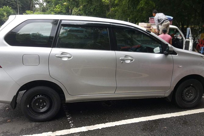 Bali Private Tour - Car with Driver - Who This Tour Fits Best (and Who Should Skip It)