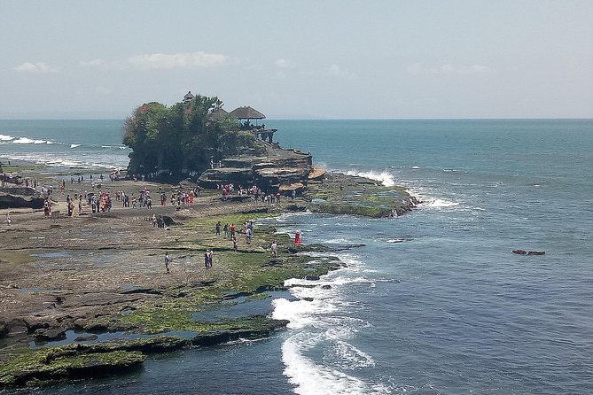 Bali Private Tour Guide And Driver - Spotting Your Driver: The Bali Activitor Sign in Real Life