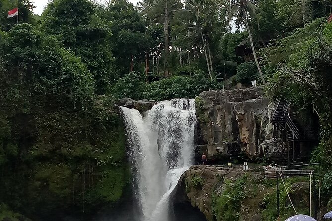 Bali Private Tour Guide And Driver - A Real Culture Stop: Visiting a Family in a Village
