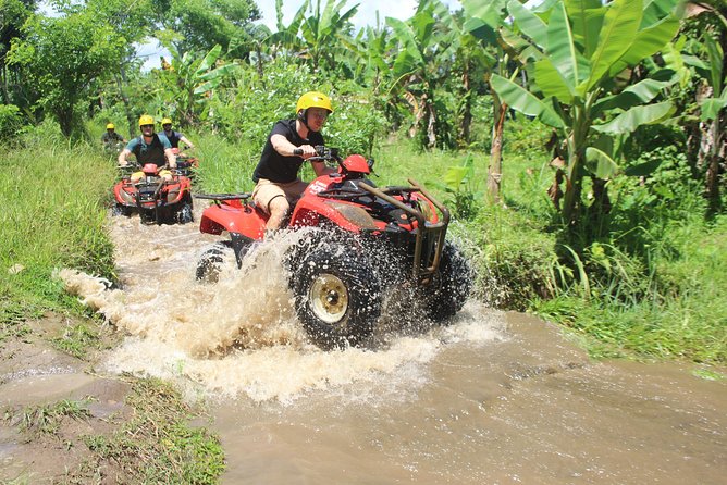 Bali Private Tour Guide And Driver - Denpasar Night Market Style Stops: When Shopping Becomes an Adventure
