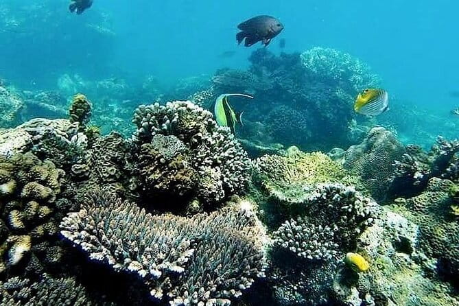 Bali Private Tour: Waterfall, Monkey forest and Tanah lot sunset - Batuan Temple: adding a calmer cultural stop to the mix