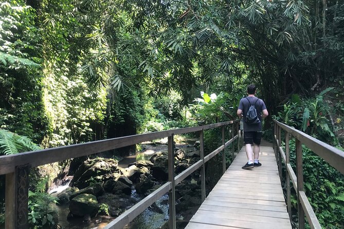 Bali Quad Adventure with Waterfall Tour - Kanto Lampo waterfall: where the viewing walk meets jungle sound