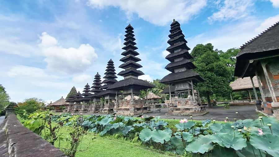 Bali: Royal Temple, Bedugul, and Tanah Lot Private Tour - Baturiti coffee farm: herbal tea tastings and the swing-over-rice views