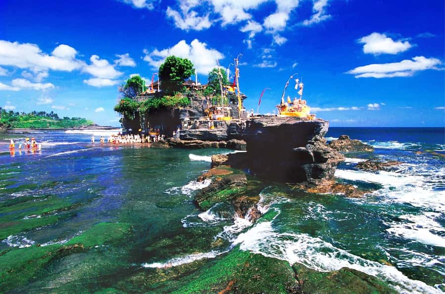 Bali: Royal Temple, Bedugul, and Tanah Lot Private Tour - Who should book this Bali Royal Temple, Bedugul, and Tanah Lot tour