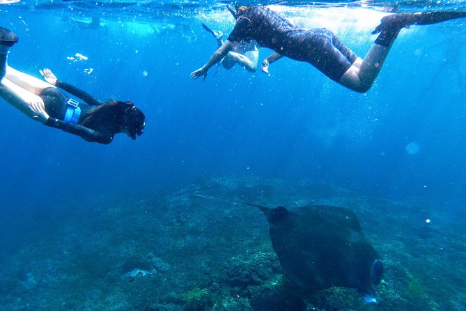 Bali Scuba Diving at Nusa Penida Manta Point For Certified Diver - Gear, Briefings, Lunch, and the Small Stuff That Makes a Big Difference