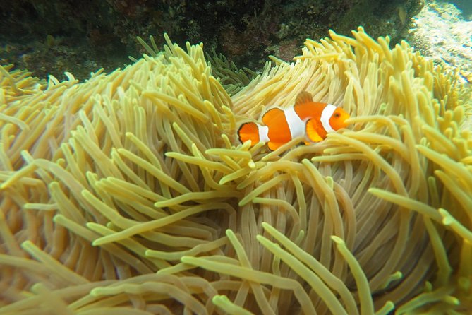 Bali Scuba Diving at Padang Bai for Certified Diver - Small group energy and staff attitude (the human difference)