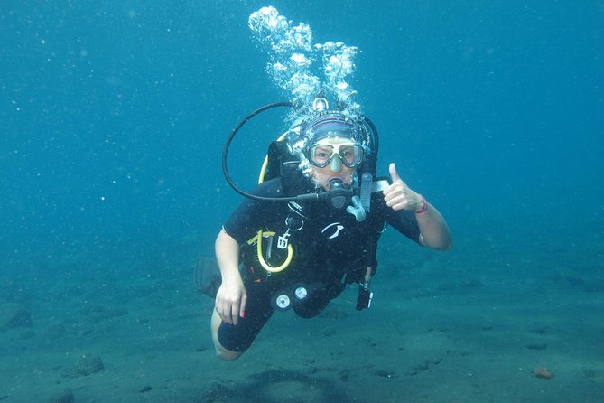 Bali Scuba Diving trip at Tulamben for Certified Diver - Group size and guide style: what you should expect in the water