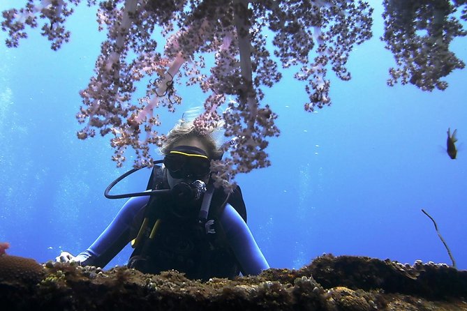 Bali Scuba Diving trip at Tulamben for Certified Diver - What your day looks like from 7:00am to around 5:00pm