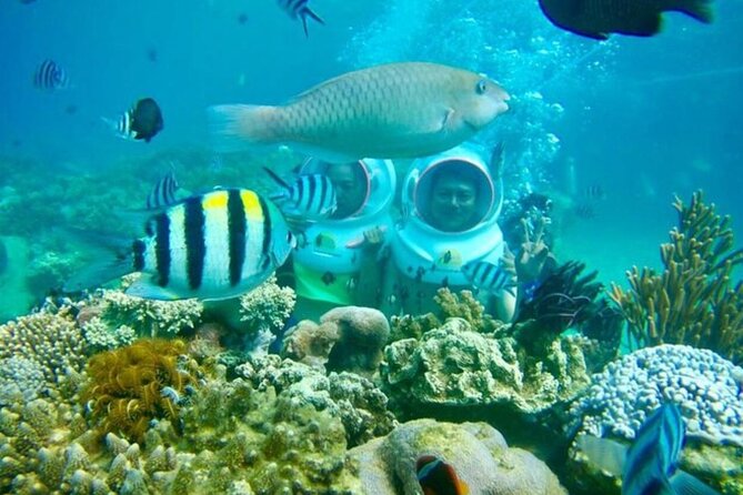 Bali Sea Walker - Key things I’d zero in on before you book