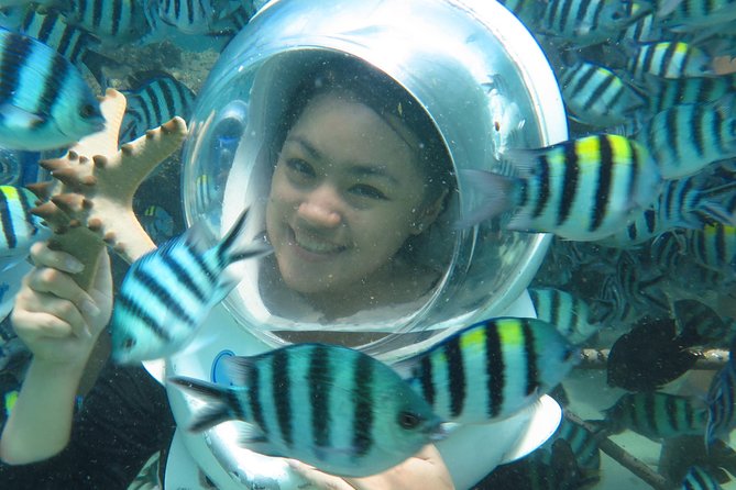 Bali Sea Walker - Price and value: is $38.98 really a fair deal?