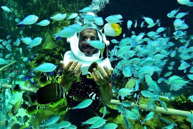 Bali Sea Walker Under Water Experience With Hotel Transfer - What happens before you get underwater: meeting, gear, and a real-world timeline