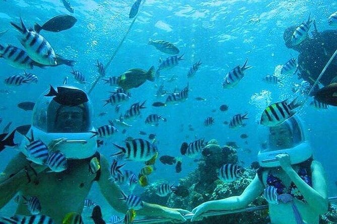 Bali Sea Walker Under Water Experience With Hotel Transfer - Making the most of the coral and fish moments