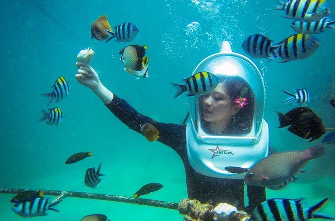Bali Sea Walker Under Water Experience With Hotel Transfer - Price and value in plain terms ($32.50 per person)