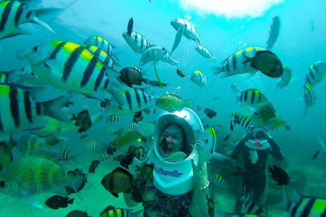 Bali Sea Walker Under Water Experience With Hotel Transfer - Who Sea Walker is best for (and who might feel off-plan)