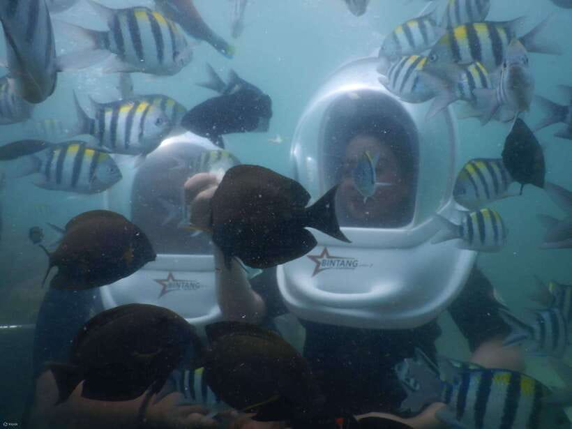 Bali: Sea Walker Water Sport Experience with Hotel Transfer - Meeting at Bintang Water Sport and how the day flows