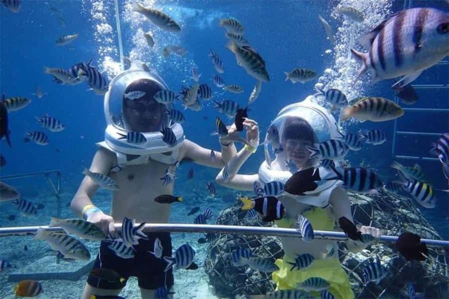 Bali: Sea Walker Watersport Nusa Dua With Hotel Transfer - Sea Walker in Nusa Dua: What the Underwater Walk Really Feels Like