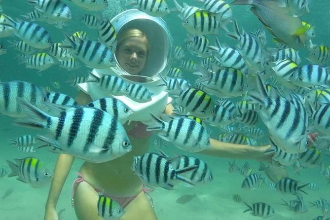Bali Sea Walking Experience - Sea walking at Tanjung Benoa: what you actually do