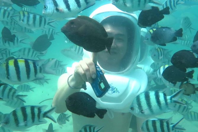 Bali Sea Walking Experience - Marine life up close: fish, coral structure, and visibility
