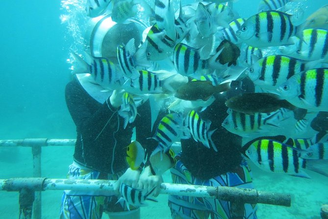 Bali Sea Walking Experience - Getting comfortable: what to bring and how to avoid small annoyances