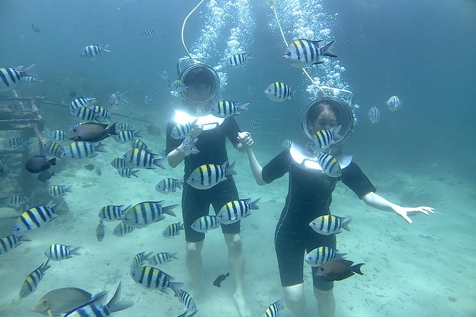 Bali Seawalker - Tanjung Benoa sights: coral, fish, and why the timing matters