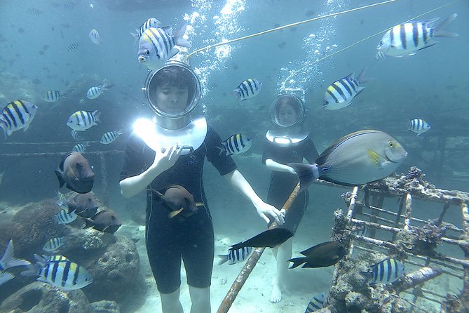 Bali Seawalker - What the guided experience feels like in practice