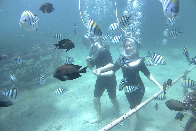 Bali Seawalker - Helmet, wetsuit, and safety forms: your pre-water checklist