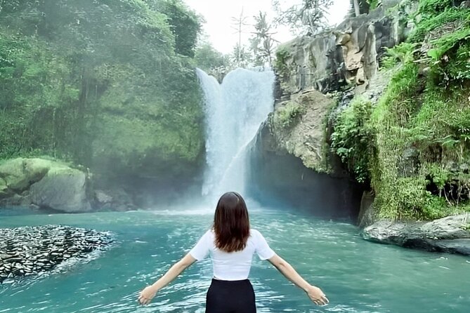 Bali Shore Excursions : Best of Bali Tour - Ubud highlight plan: waterfall plus Monkey Forest (and room for photos)