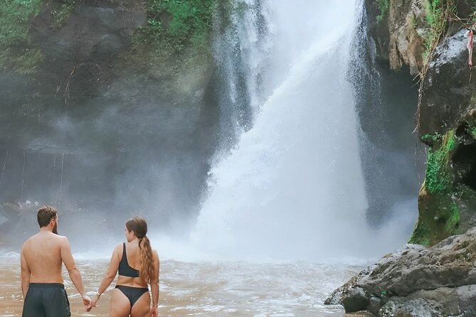 Bali Shore Excursions : Best of Bali Tour - Entrance fees: transport-only vs upgraded tickets