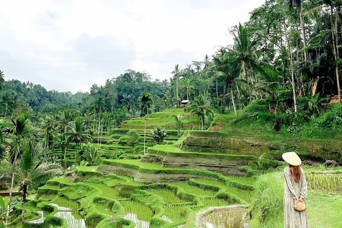 Bali Shore Excursions : Best of Bali Tour - Driver-guide narration in English: what it adds beyond directions