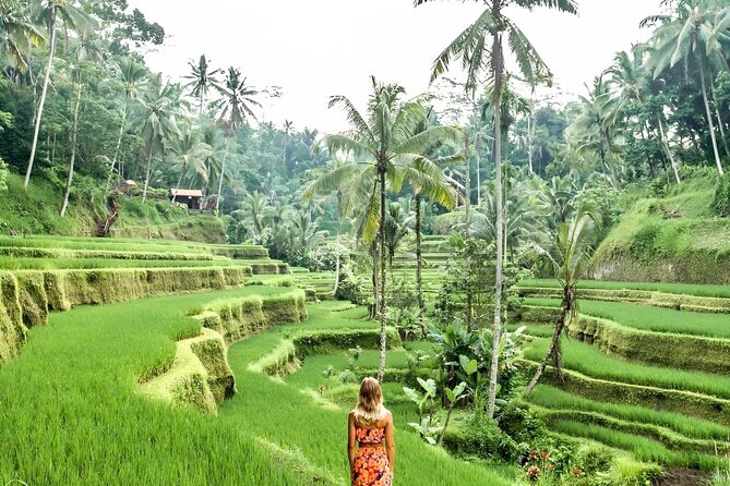 Bali Shore Excursions : Best of Bali Tour - Who this tour fits best (and who should rethink it)