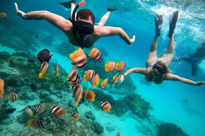 Bali Snorkeling At Bluelagoon Beach With Lunch Private Transport - Key points at a glance