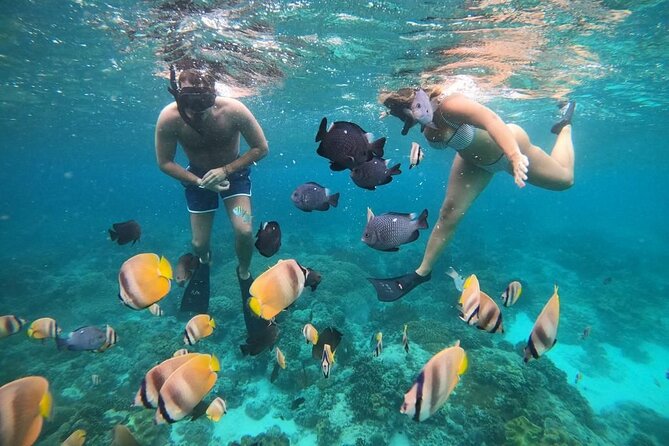 Bali Snorkeling At Bluelagoon Beach With Lunch Private Transport - Blue Lagoon and Tanjung Jepun: what you’ll realistically see