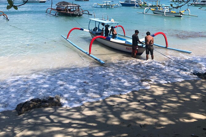 Bali Snorkeling At Bluelagoon Beach With Lunch Private Transport - Who should book this snorkeling day, and who should reconsider