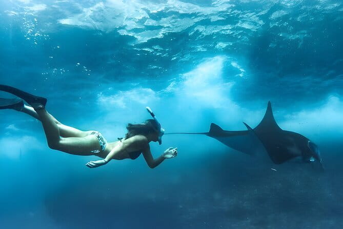 Bali Snorkling Blue Lagoon Beach with Lunch & Private Transport - What you’ll see: fish, coral, and the fun of looking closely